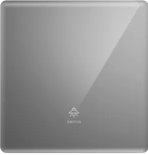 V15-001 一位开关